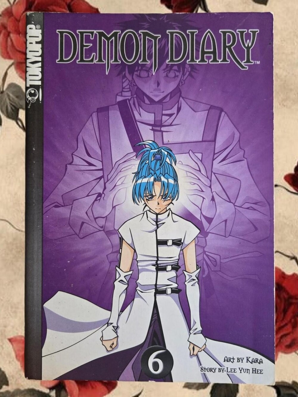 Demon Diary Volume 6